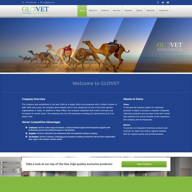 Website design project for Glovet in Qatar